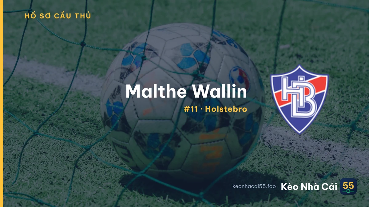 M. Wallin