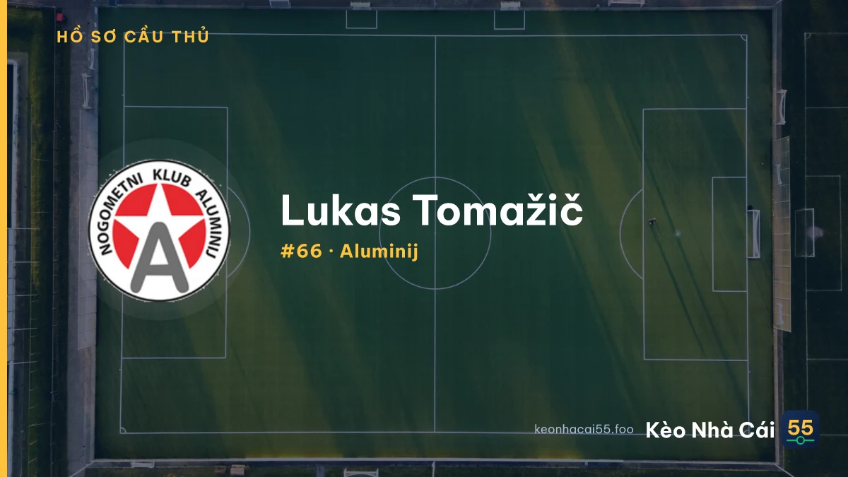 Lukas Tomažič — Aluminij