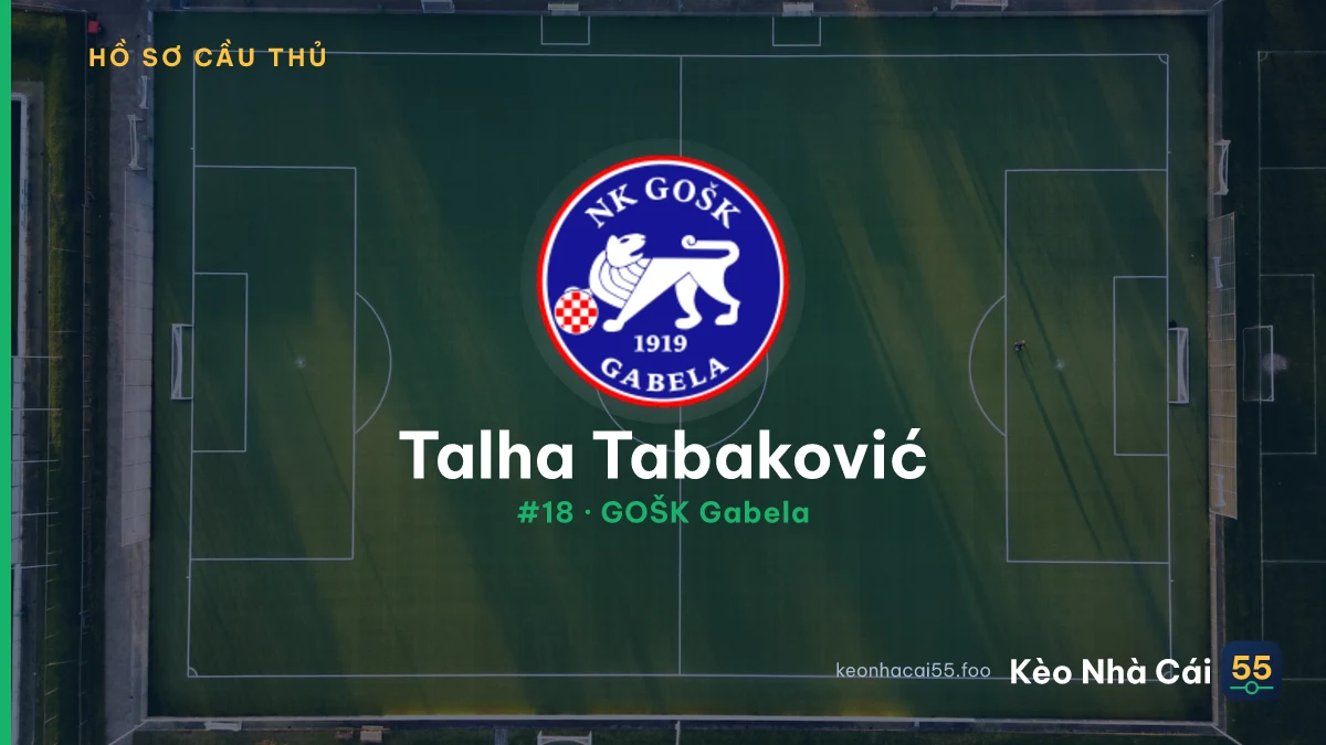 T. Tabaković