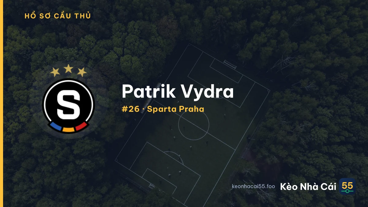 P. Vydra