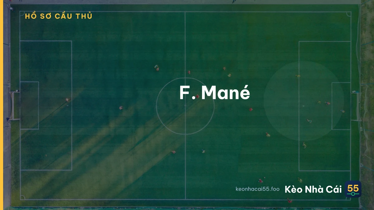 F. Mané
