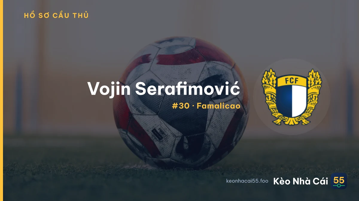 V. Serafimović