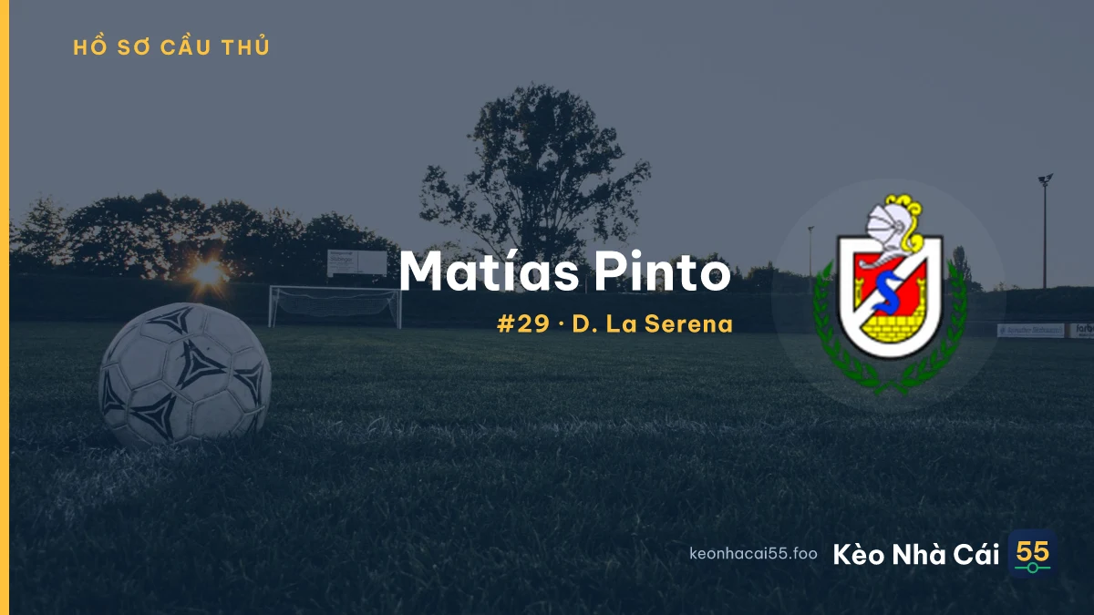 M. Pinto