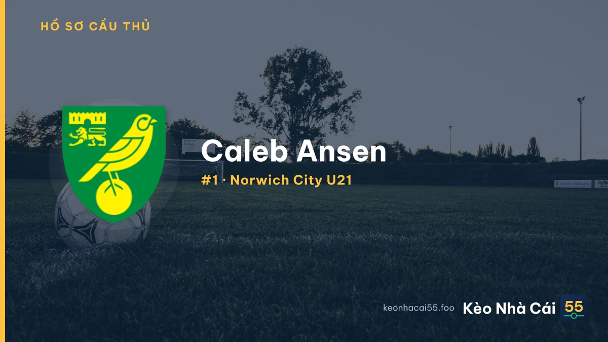 C. Ansen — Norwich City U21