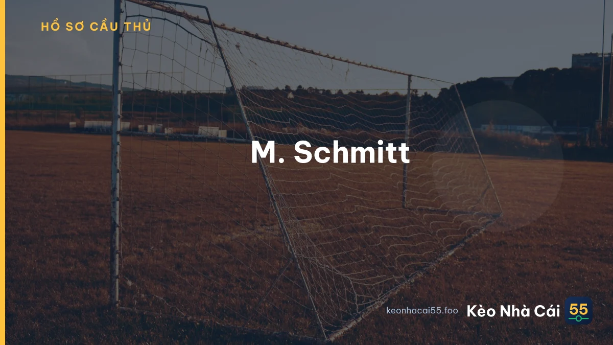 M. Schmitt