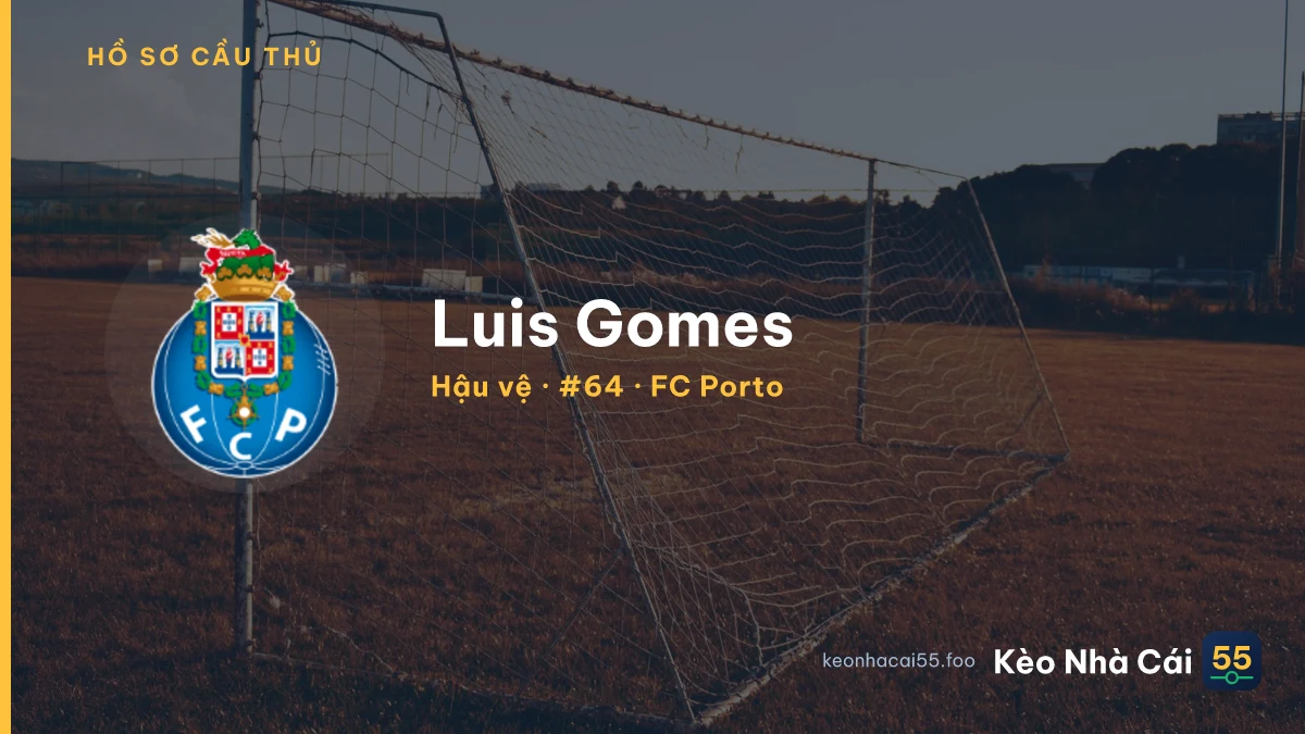 Luís Gomes