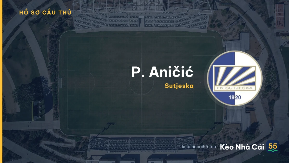 P. Aničić