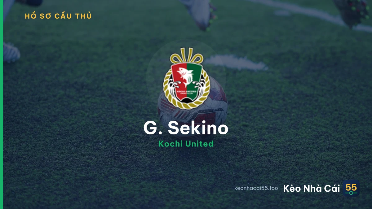 G. Sekino
