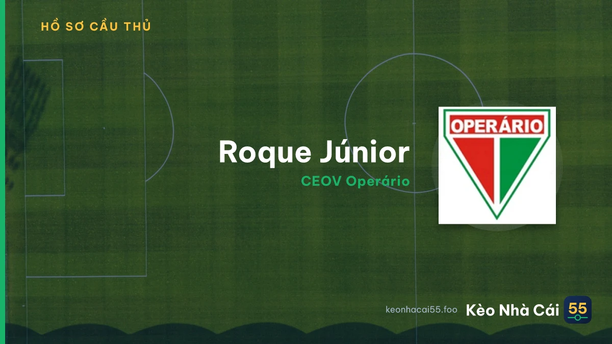 Roque Júnior