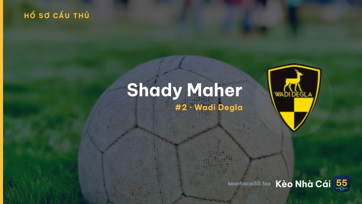 Shady Maher — Wadi Degla