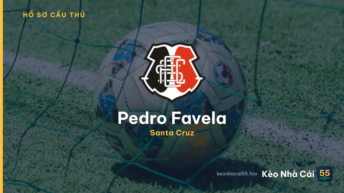 Pedro Favela