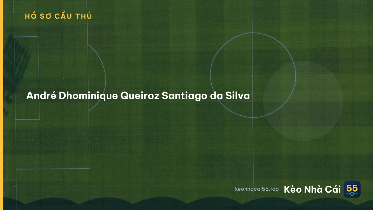 André Dhominique Queiroz Santiago da Silva