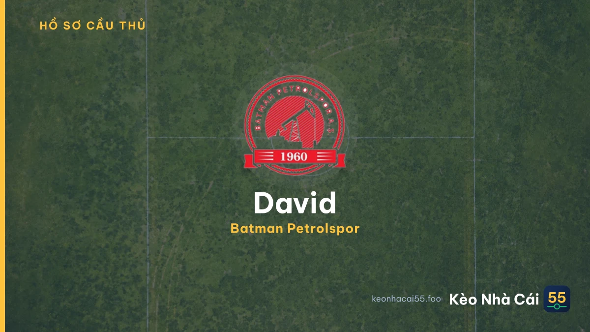 David — Batman Petrolspor