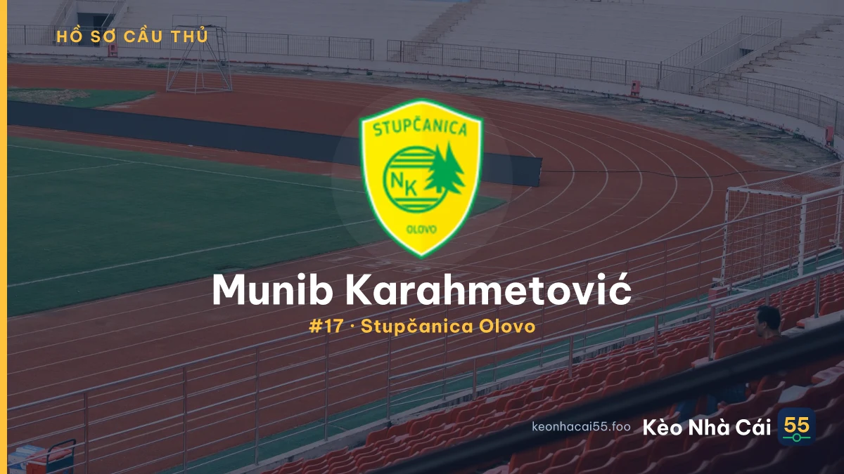 Munib Karahmetović — Stupčanica Olovo