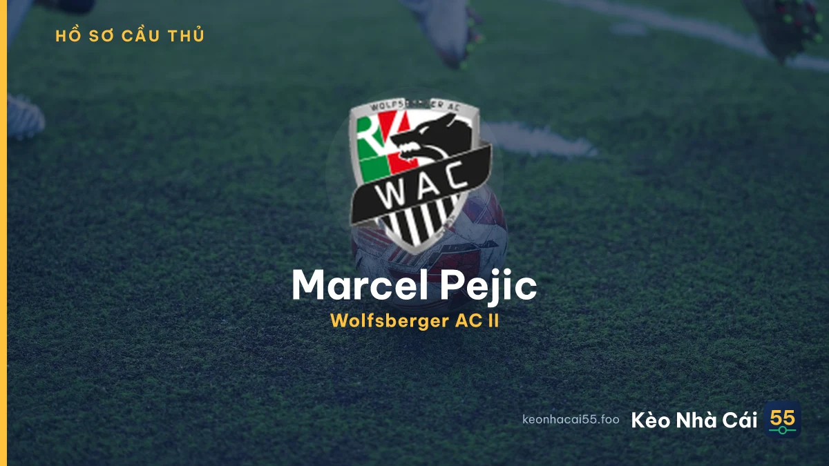 M. Pejic