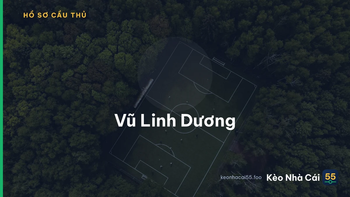 Vũ Linh Dương