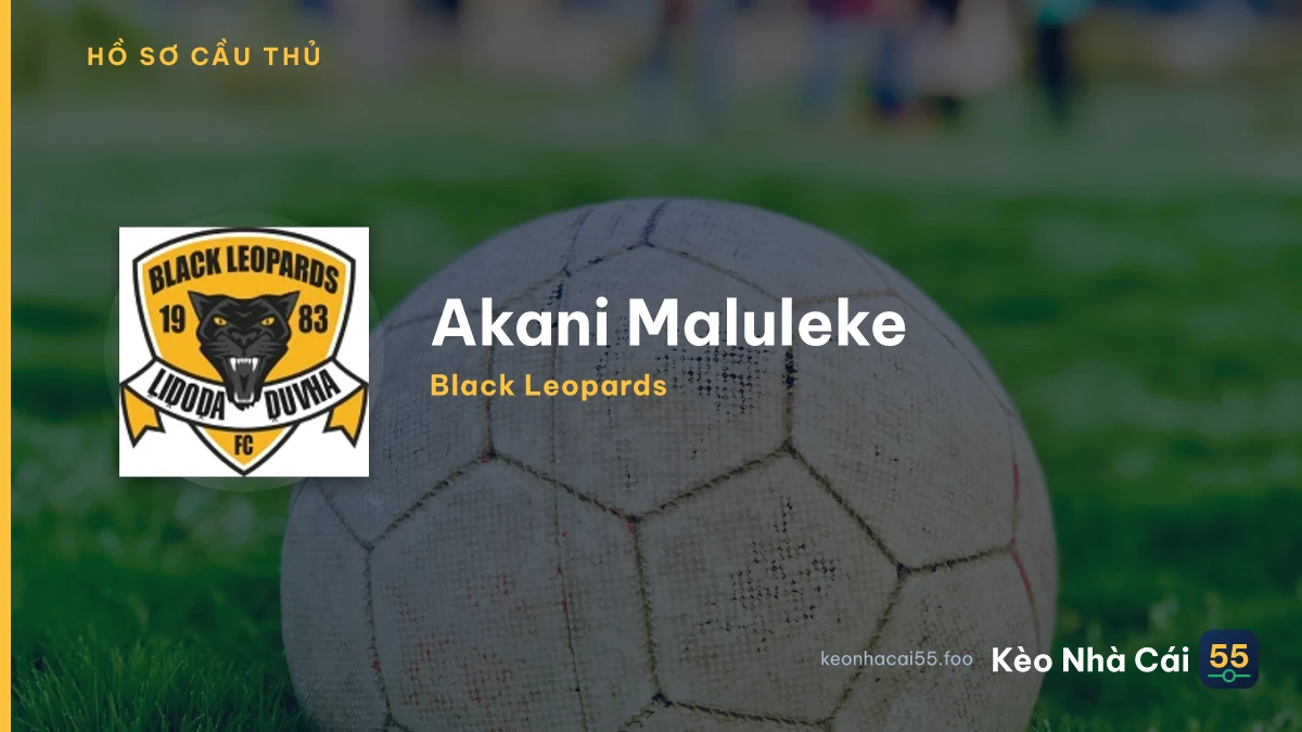 Akani Maluleke — Black Leopards