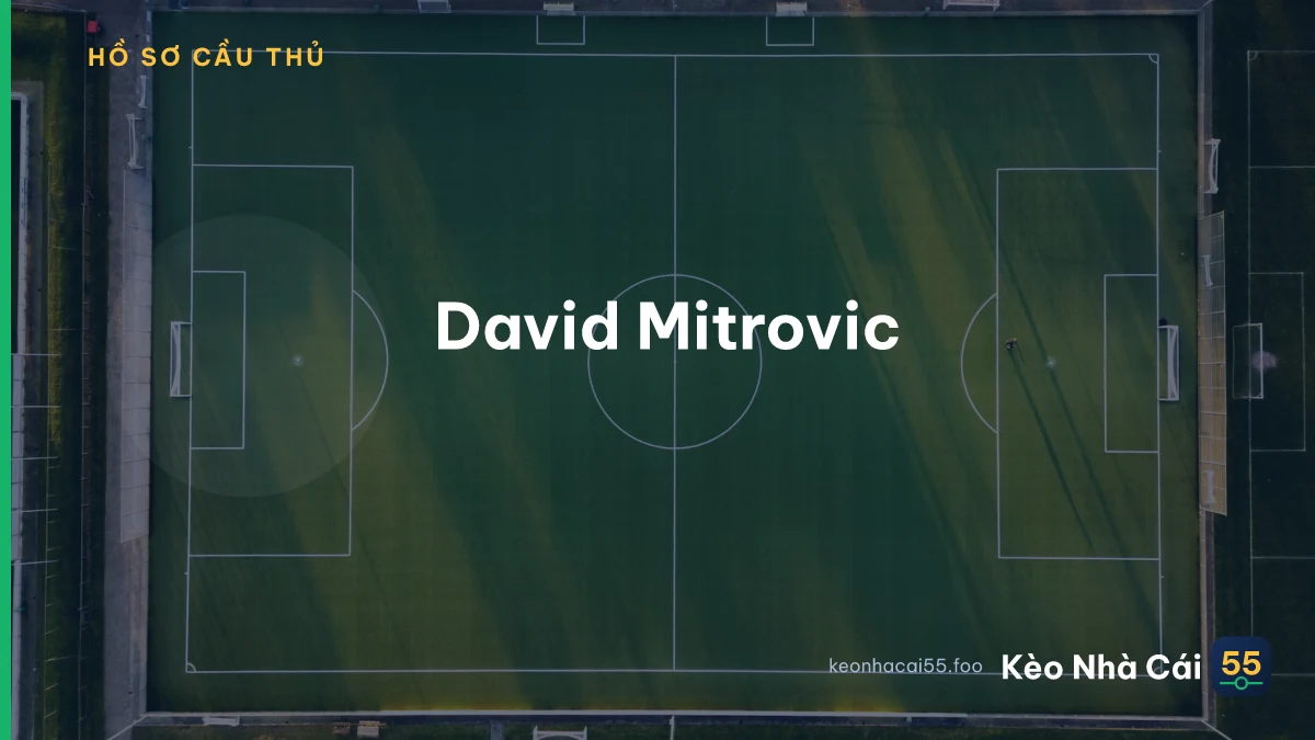 David Mitrovic