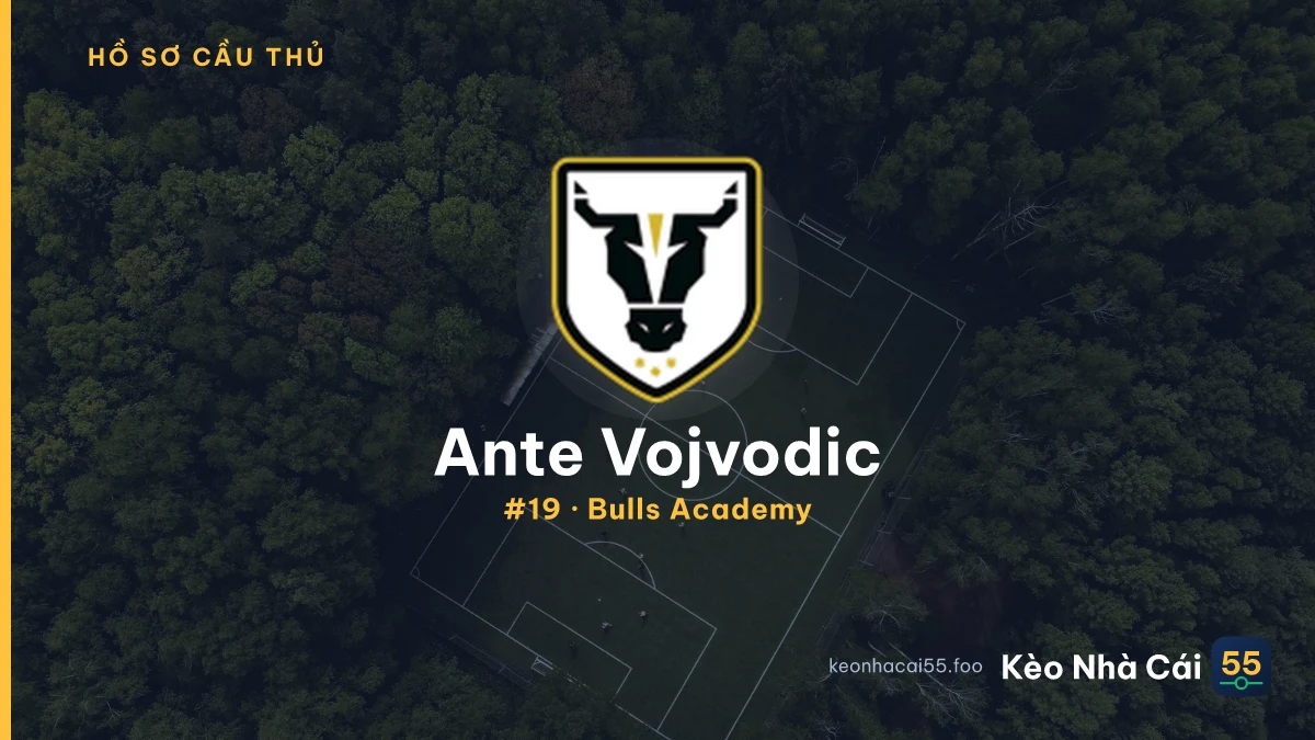 A. Vojvodic — Bulls Academy
