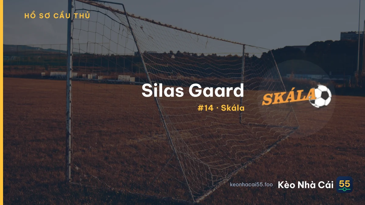 S. Gaard — Faroe Islands U21