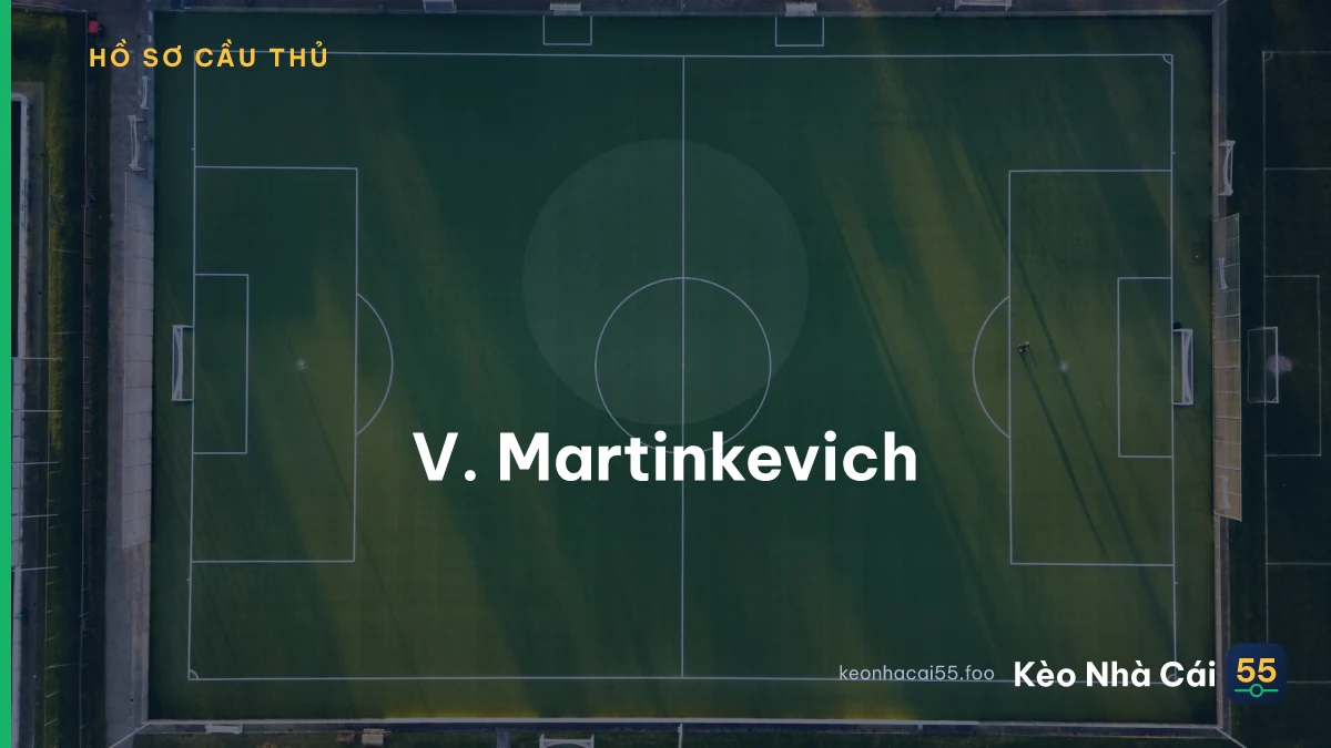 V. Martinkevich