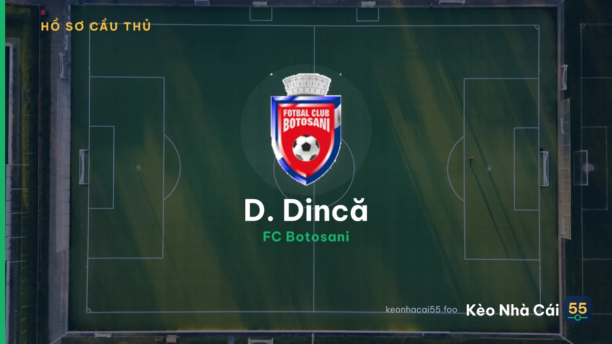 D. Dincă — FC Botosani