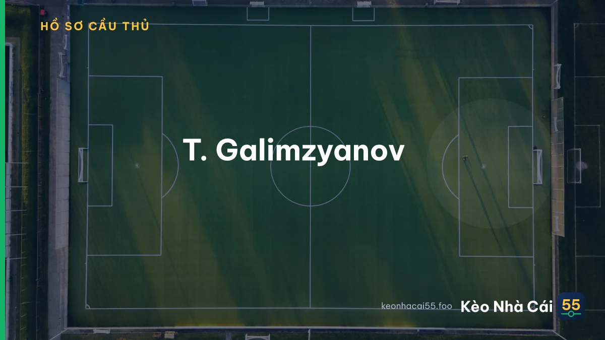T. Galimzyanov