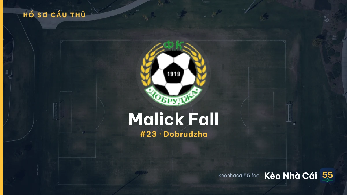 M. Fall