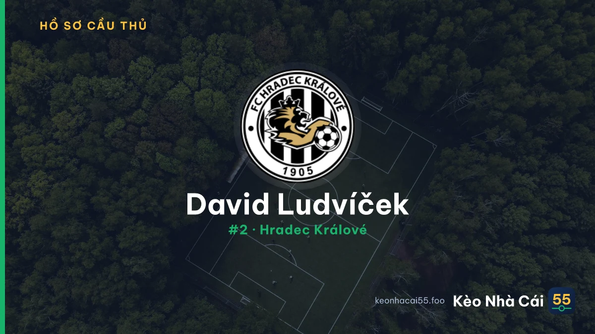 D. Ludvíček