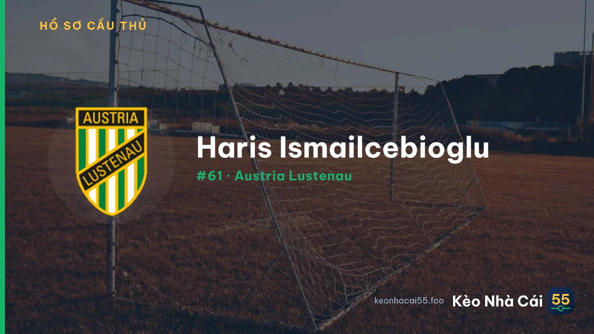 H. Ismailcebioglu — Austria Lustenau