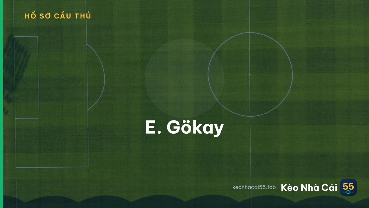 E. Gökay