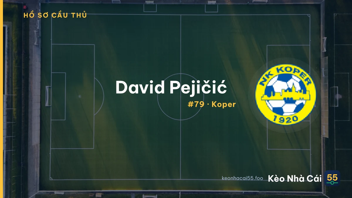 D. Pejičić — Koper