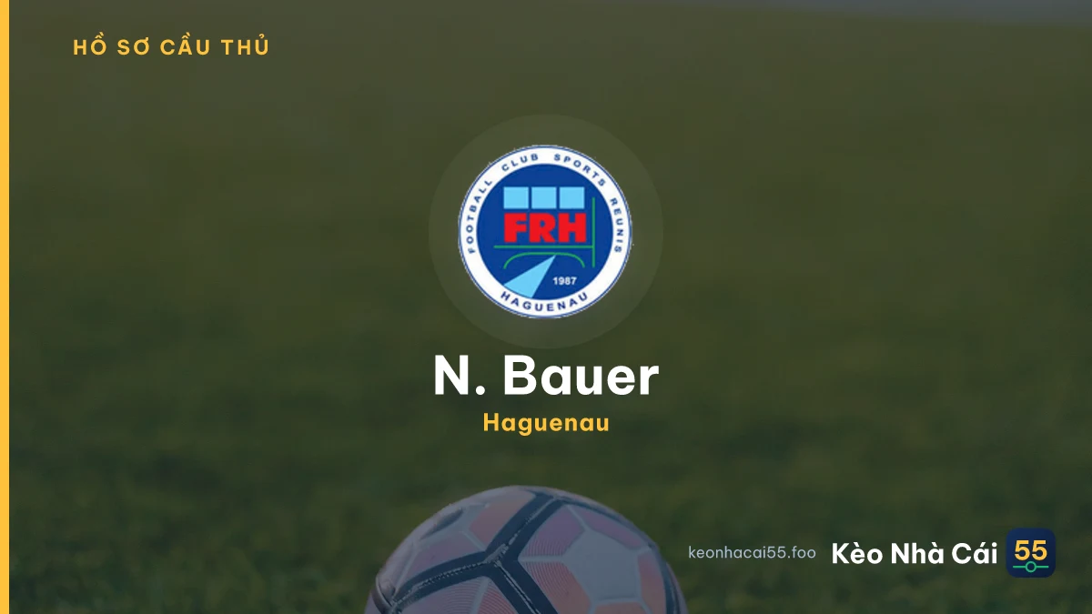 N. Bauer