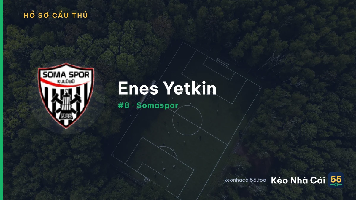 E. Yetkin