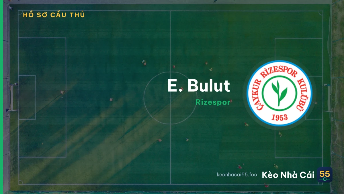 E. Bulut