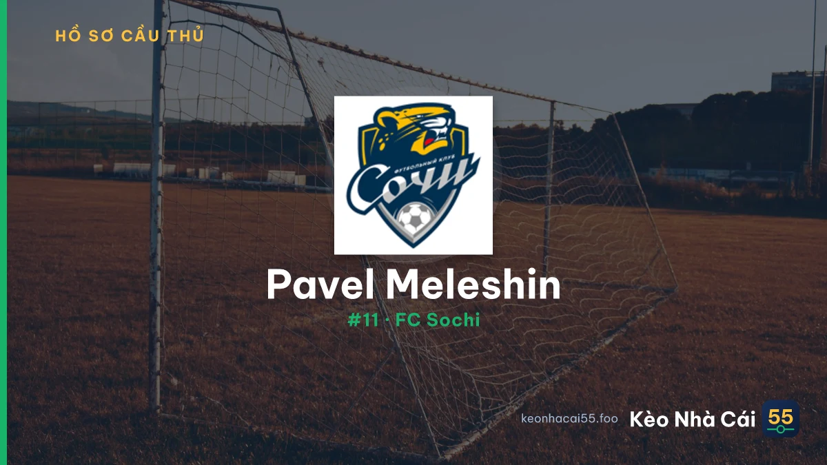P. Meleshin