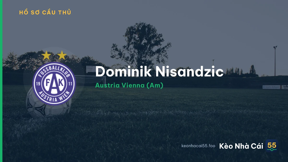 Dominik Nisandzic