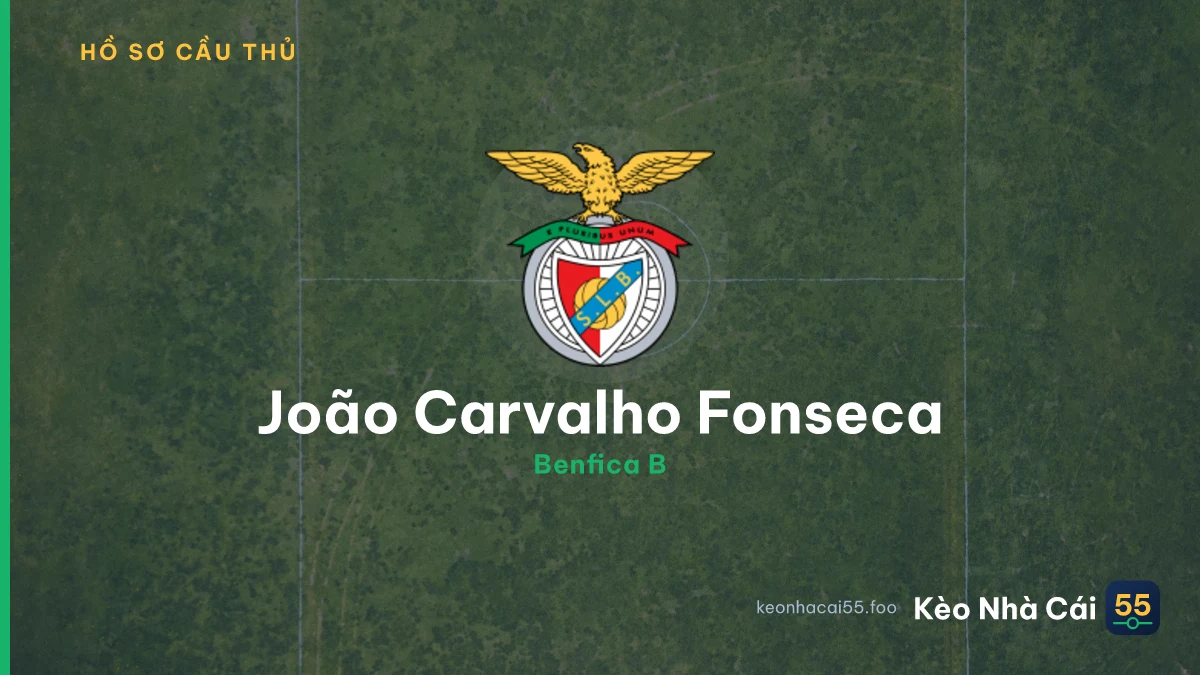 João Carvalho Fonseca