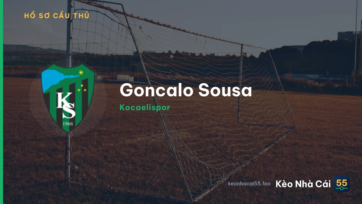 Goncalo Sousa — Kocaelispor