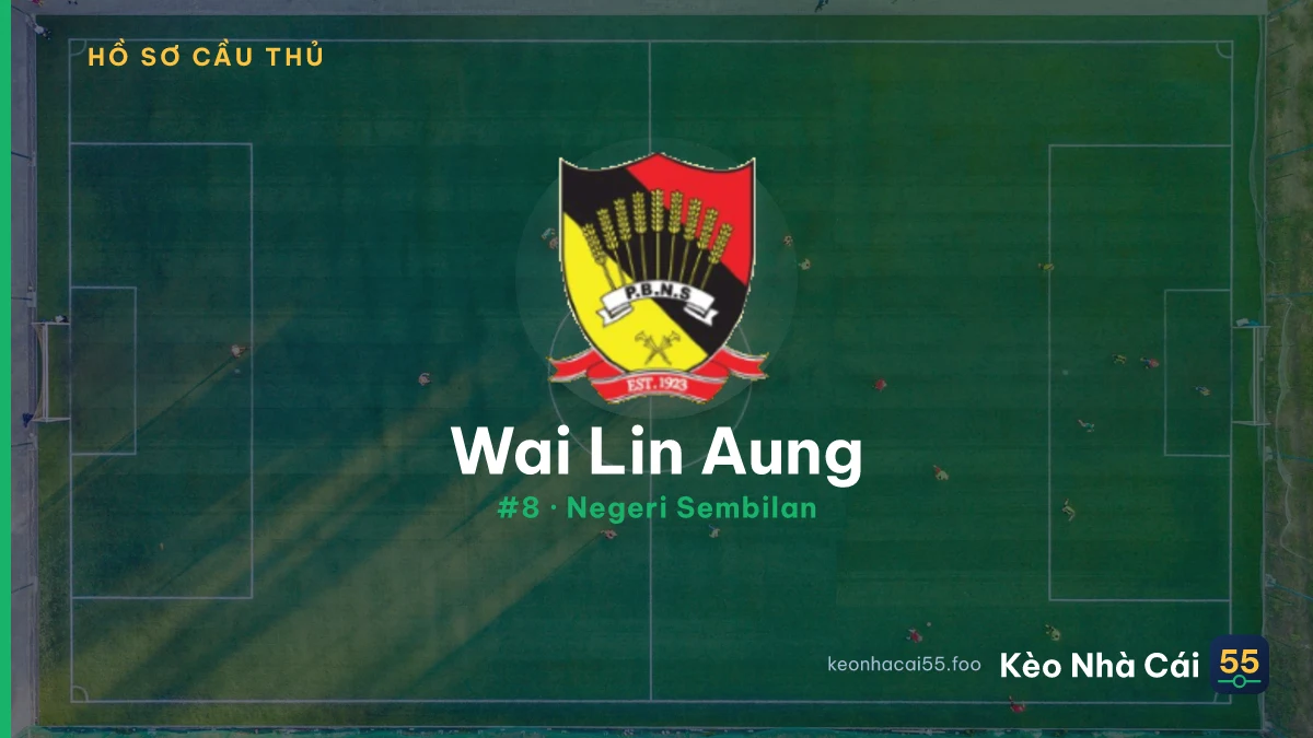Wai Lin Aung