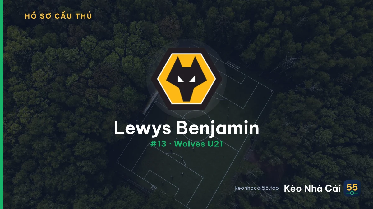 L. Benjamin — Wales U21