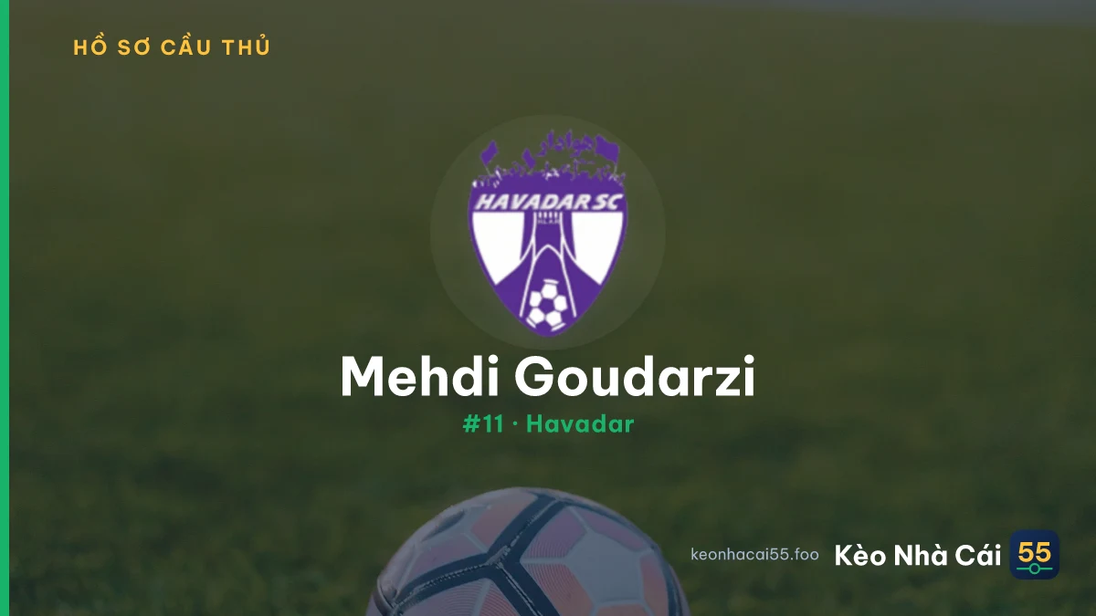 Mehdi Goudarzi — Havadar
