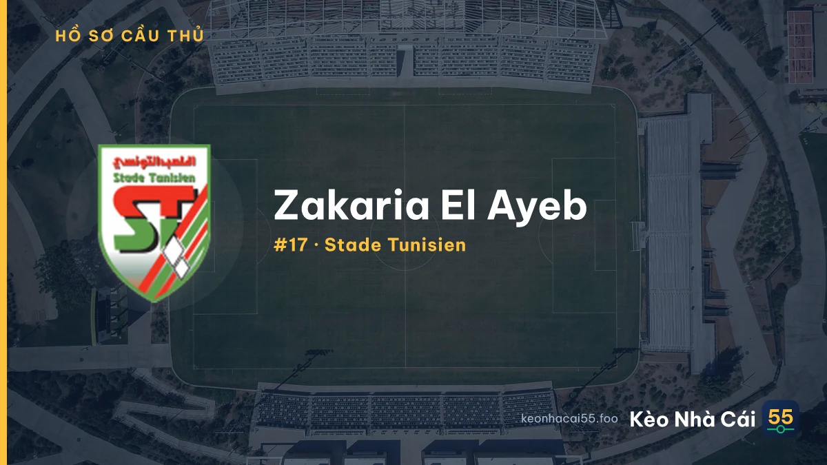Z. El Ayeb — Stade Tunisien