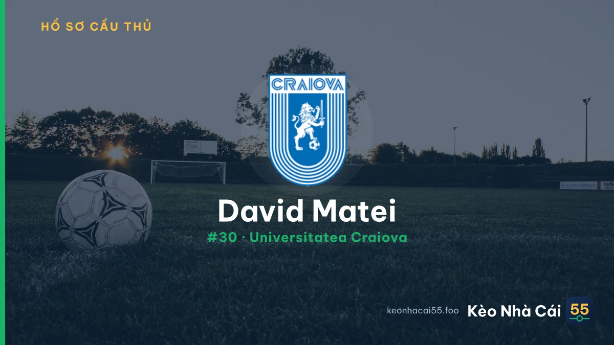 D. Matei — Universitatea Craiova