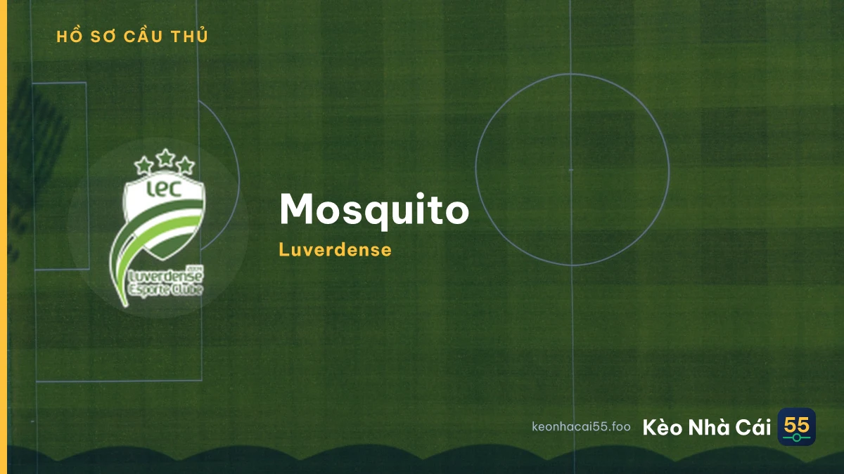 Mosquito