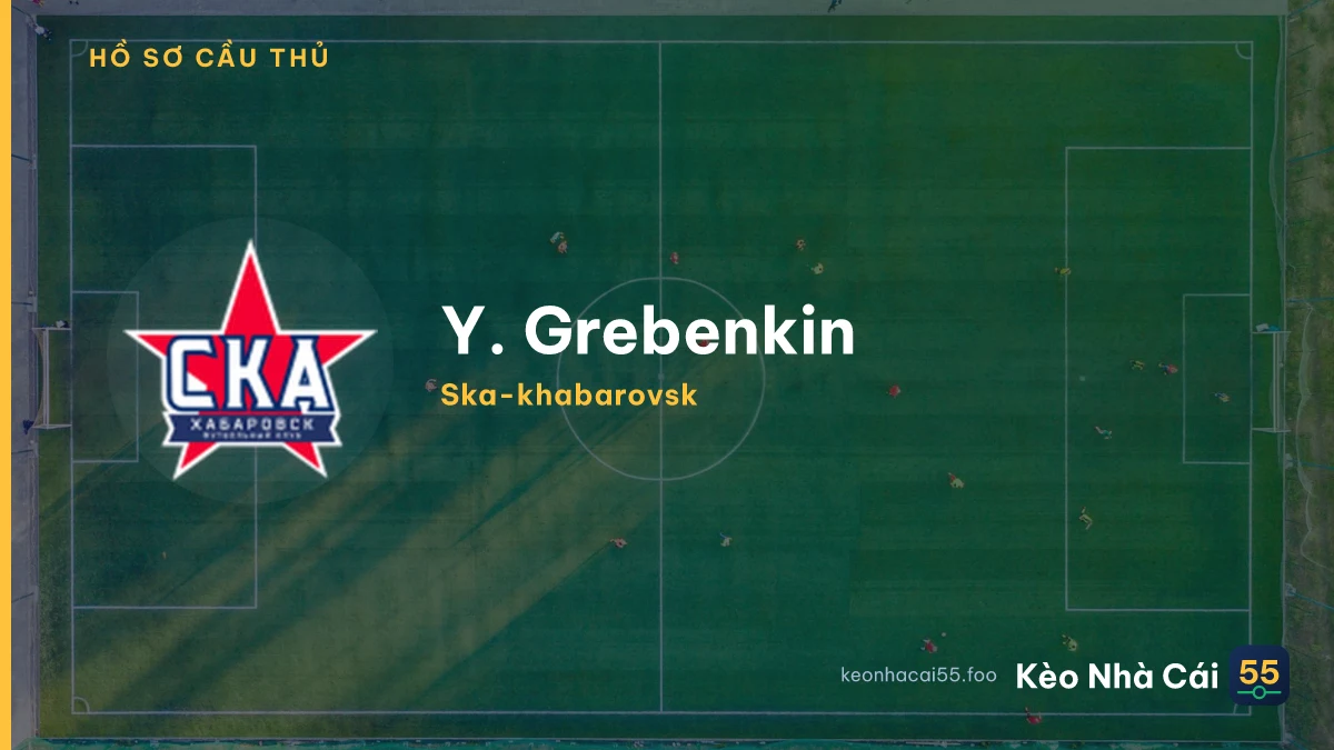 Y. Grebenkin