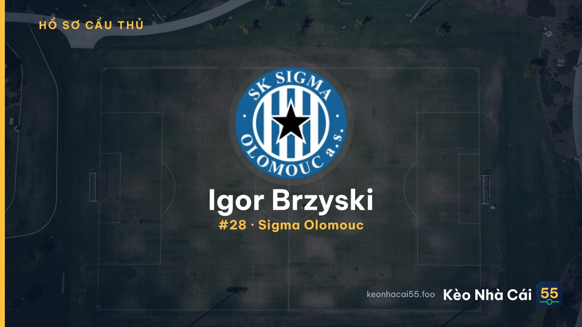 I. Brzyski