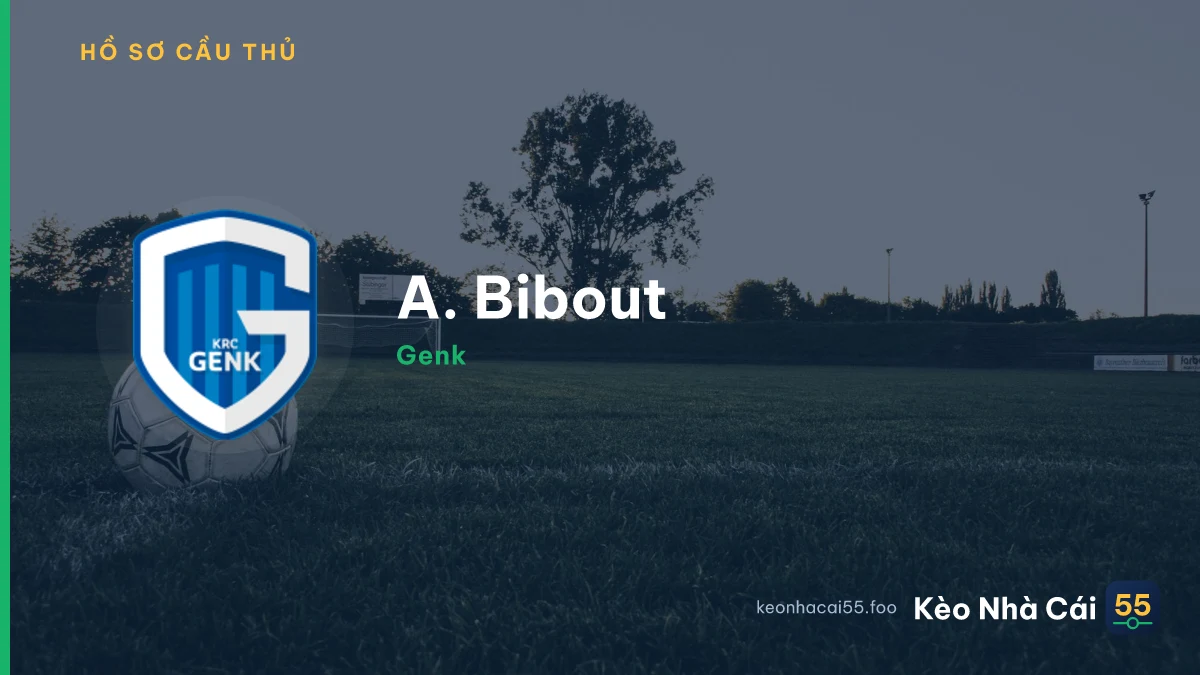 A. Bibout