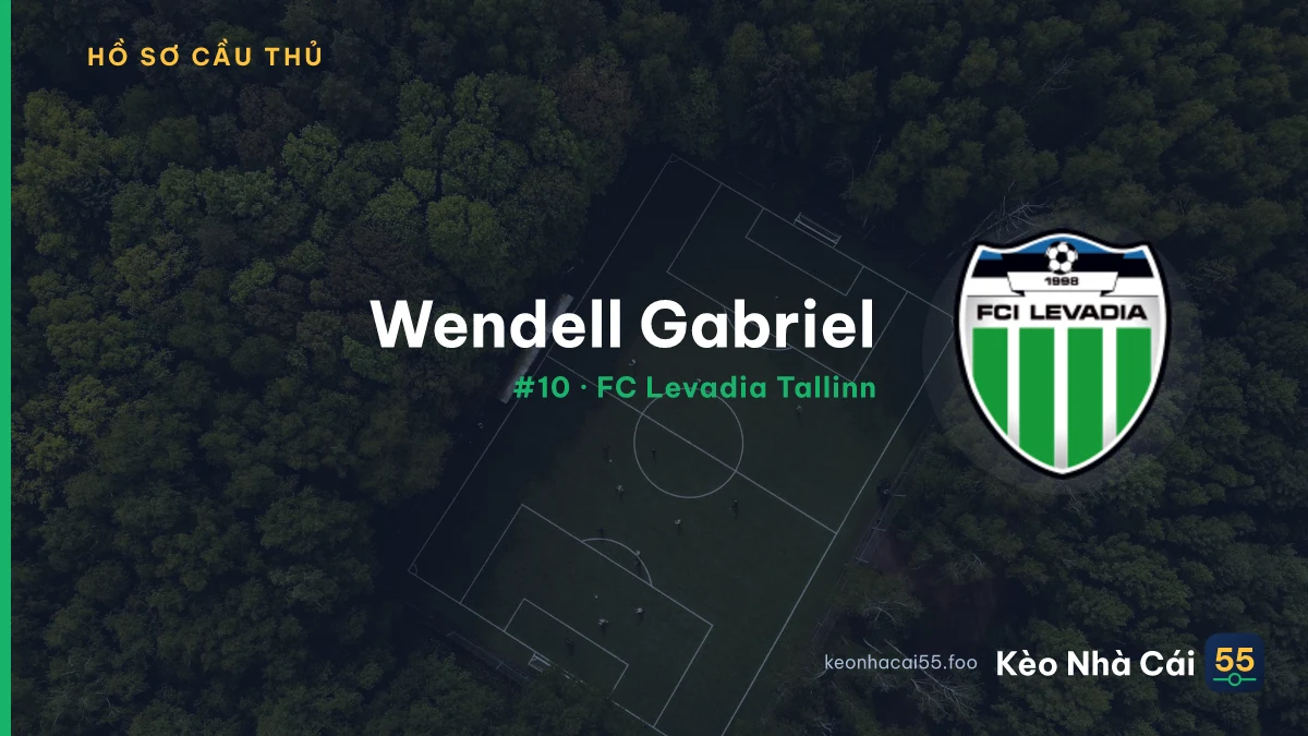 Wendell Gabriel — FC Levadia Tallinn