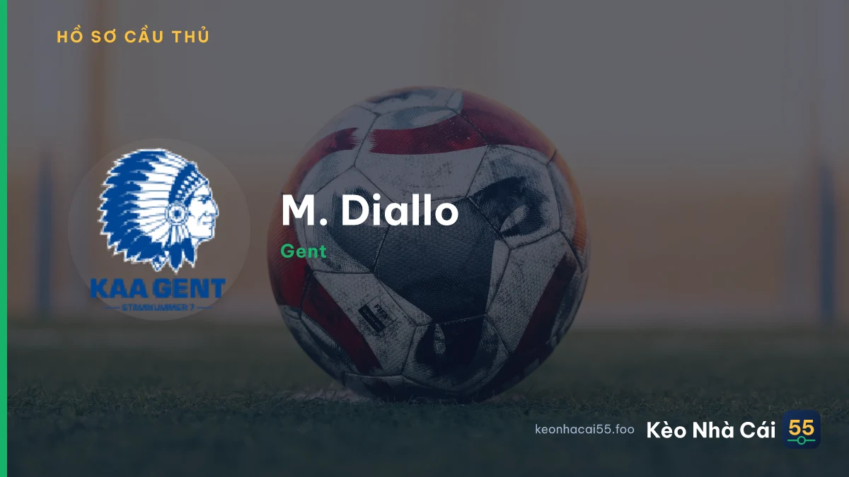 M. Diallo